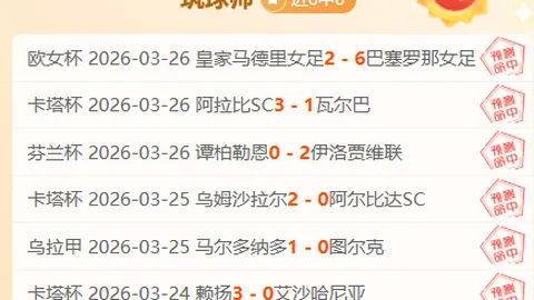 《激情对决！灰熊VS森林狼：NBA焦点战深度解析》